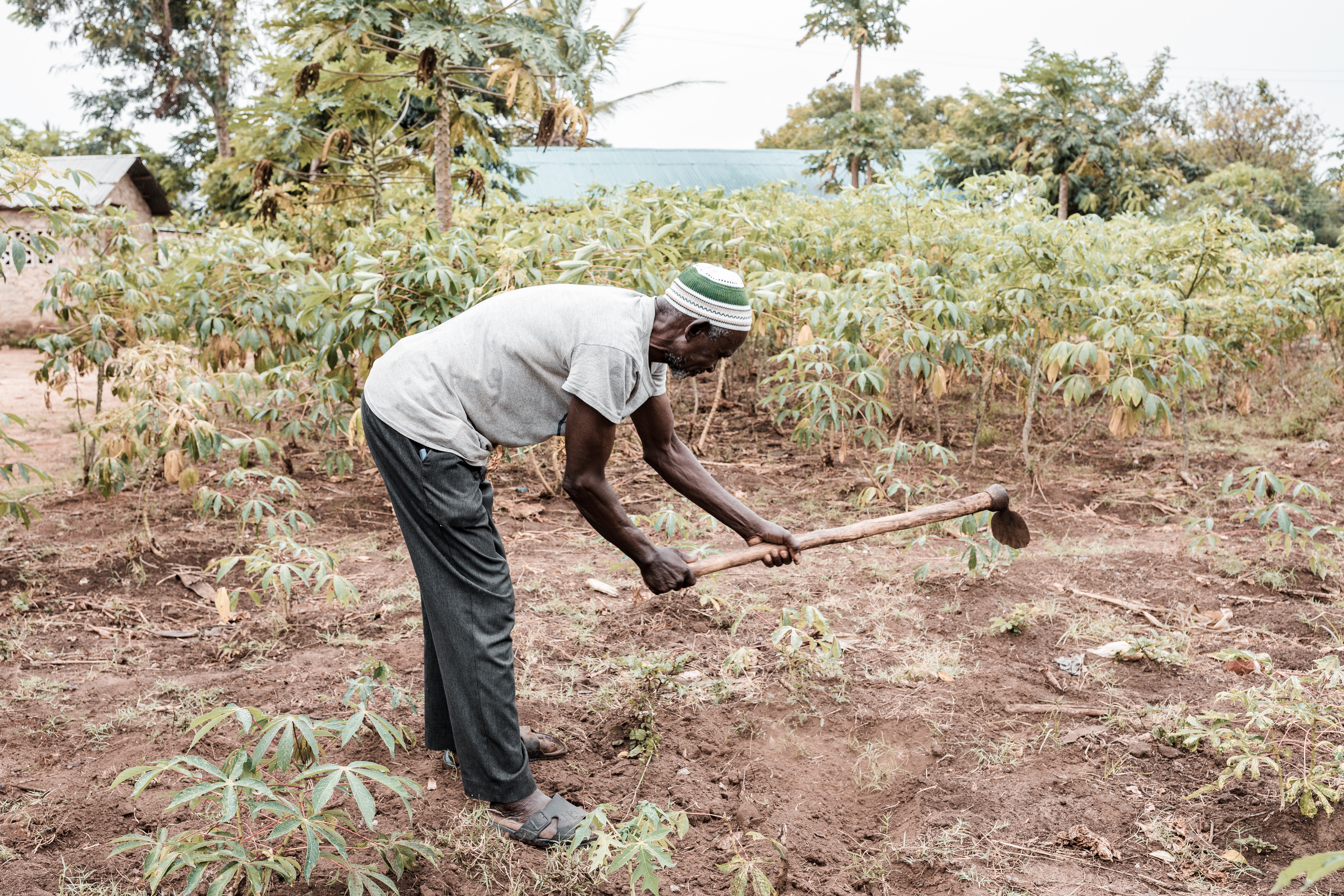 pexels-antony-trivet-13167106